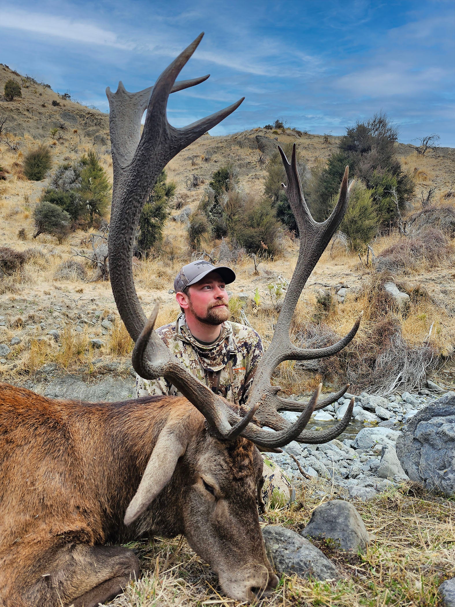 Free range Red Stag New Zealand