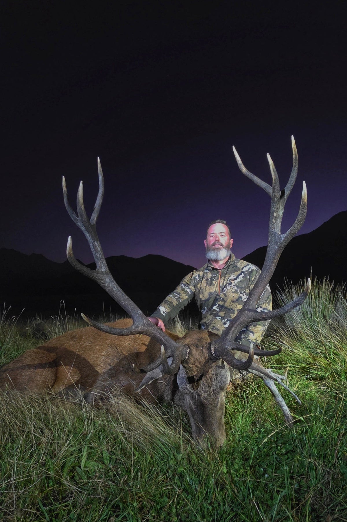 red stag hunting new zealand