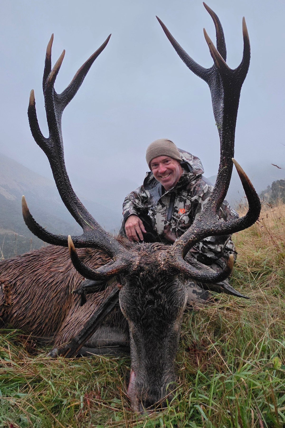 Wild red stag outfitter